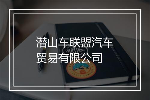 潜山车联盟汽车贸易有限公司