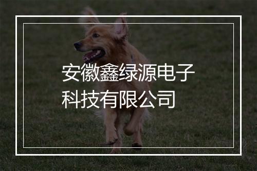 安徽鑫绿源电子科技有限公司