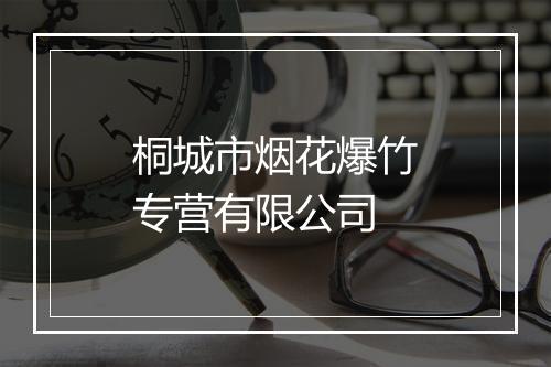 桐城市烟花爆竹专营有限公司