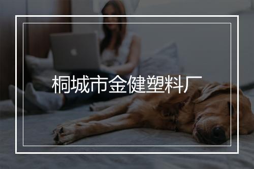 桐城市金健塑料厂
