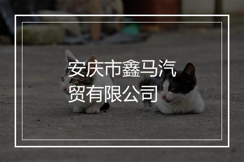 安庆市鑫马汽贸有限公司