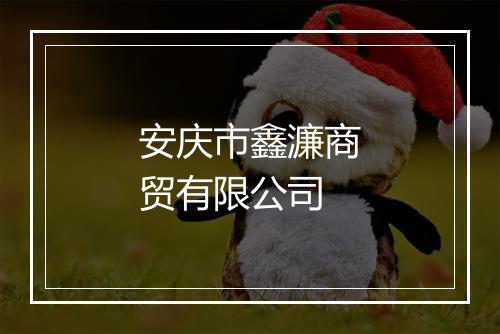 安庆市鑫濂商贸有限公司