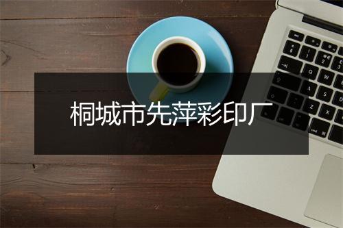桐城市先萍彩印厂