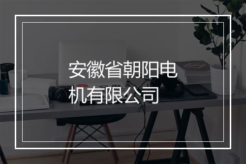 安徽省朝阳电机有限公司