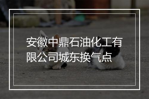 安徽中鼎石油化工有限公司城东换气点
