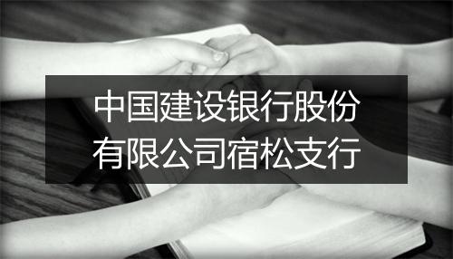 中国建设银行股份有限公司宿松支行