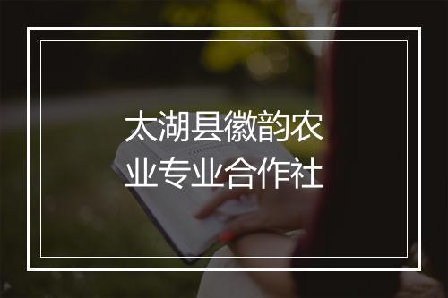 太湖县徽韵农业专业合作社