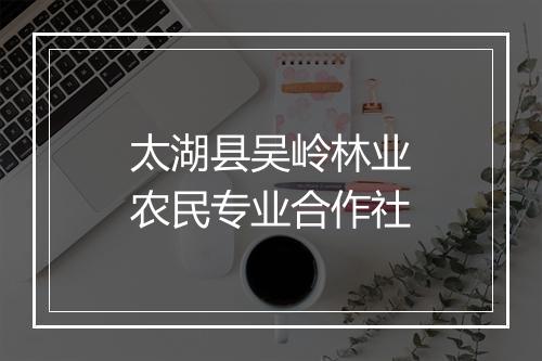 太湖县吴岭林业农民专业合作社