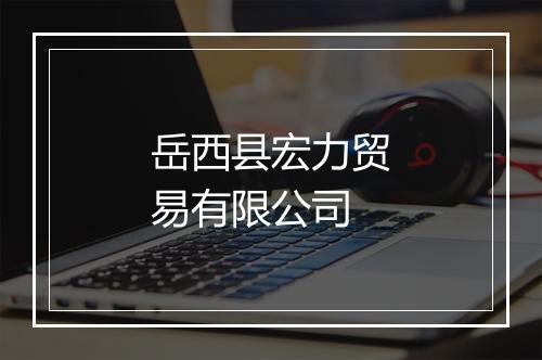 岳西县宏力贸易有限公司