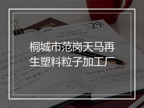 桐城市范岗天马再生塑料粒子加工厂