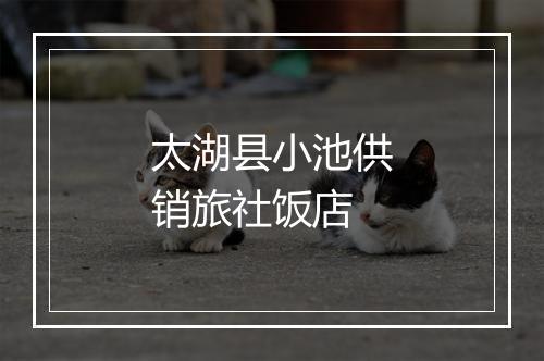 太湖县小池供销旅社饭店