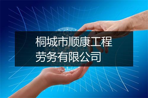 桐城市顺康工程劳务有限公司