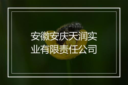 安徽安庆天润实业有限责任公司