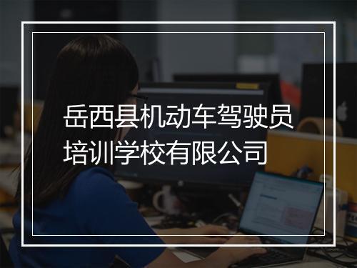 岳西县机动车驾驶员培训学校有限公司
