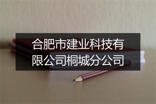 合肥市建业科技有限公司桐城分公司