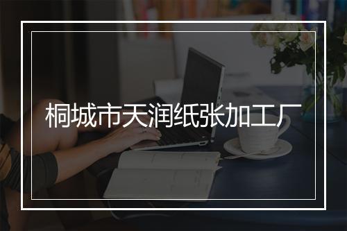 桐城市天润纸张加工厂