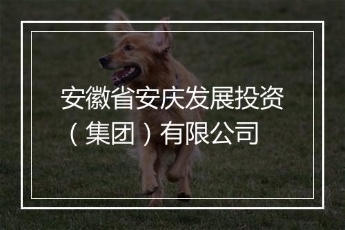 安徽省安庆发展投资（集团）有限公司