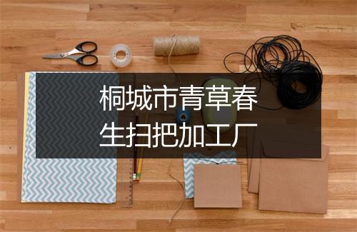 桐城市青草春生扫把加工厂