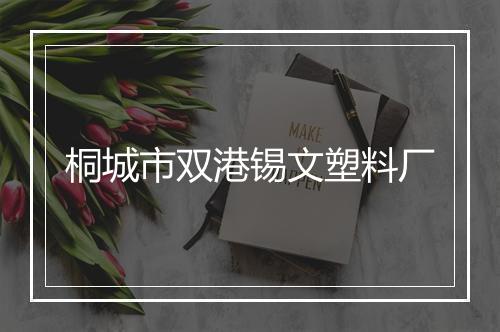 桐城市双港锡文塑料厂
