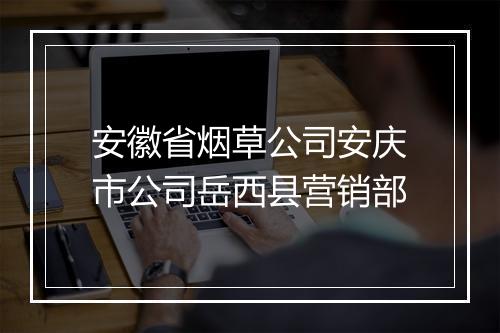安徽省烟草公司安庆市公司岳西县营销部