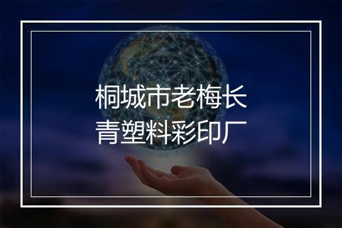 桐城市老梅长青塑料彩印厂