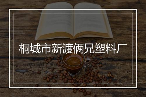 桐城市新渡俩兄塑料厂