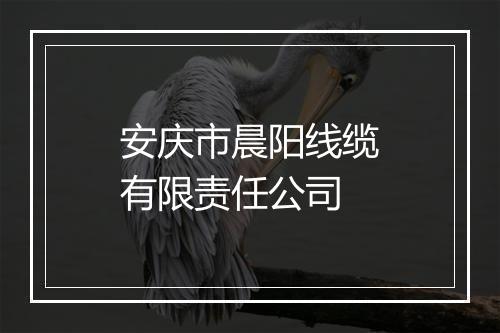 安庆市晨阳线缆有限责任公司