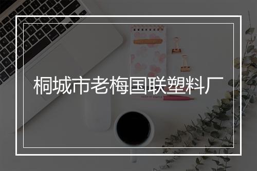 桐城市老梅国联塑料厂
