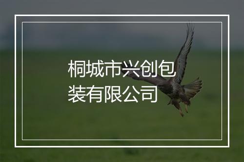 桐城市兴创包装有限公司