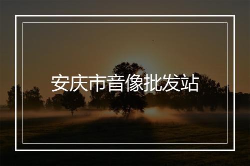 安庆市音像批发站