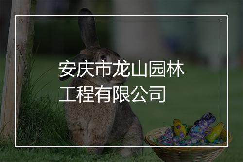 安庆市龙山园林工程有限公司
