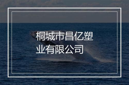 桐城市昌亿塑业有限公司