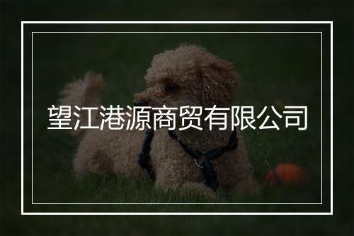 望江港源商贸有限公司