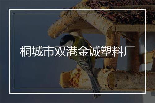 桐城市双港金诚塑料厂