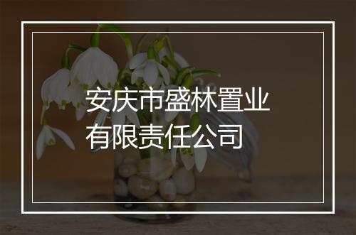 安庆市盛林置业有限责任公司