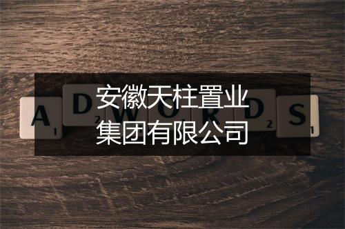 安徽天柱置业集团有限公司