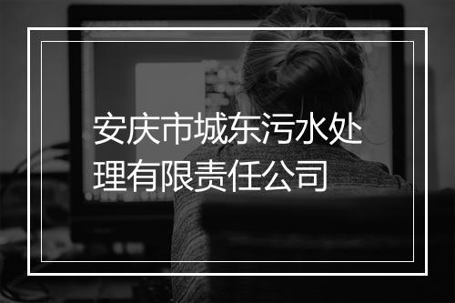 安庆市城东污水处理有限责任公司