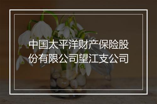中国太平洋财产保险股份有限公司望江支公司