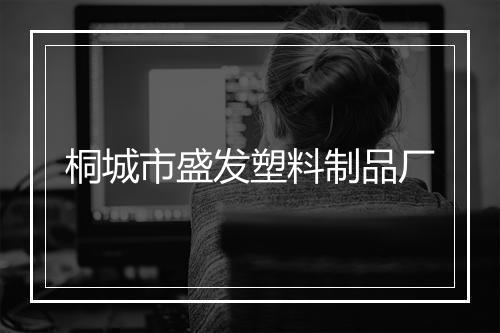 桐城市盛发塑料制品厂