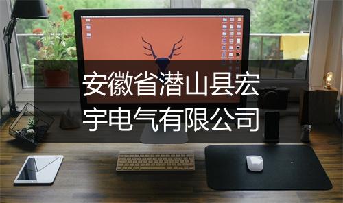 安徽省潜山县宏宇电气有限公司