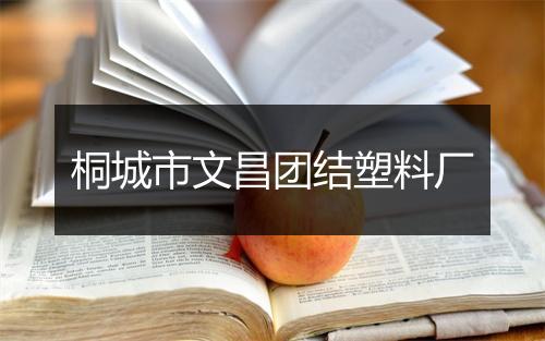 桐城市文昌团结塑料厂
