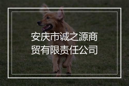 安庆市诚之源商贸有限责任公司