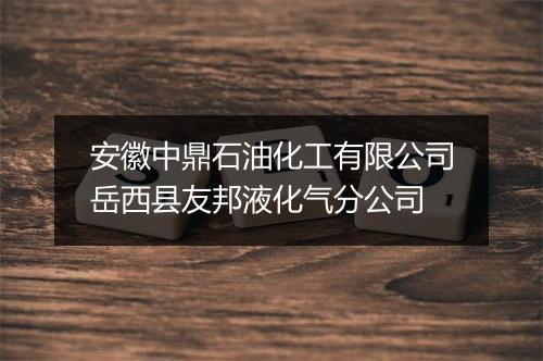 安徽中鼎石油化工有限公司岳西县友邦液化气分公司