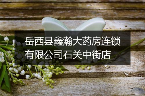 岳西县鑫瀚大药房连锁有限公司石关中街店