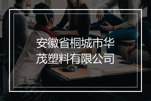 安徽省桐城市华茂塑料有限公司