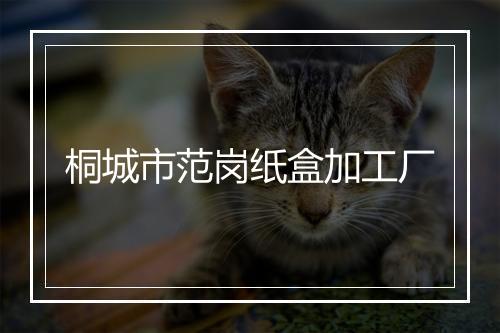 桐城市范岗纸盒加工厂