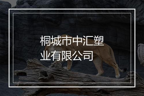 桐城市中汇塑业有限公司