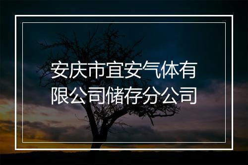 安庆市宜安气体有限公司储存分公司