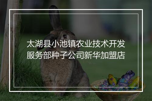 太湖县小池镇农业技术开发服务部种子公司新华加盟店