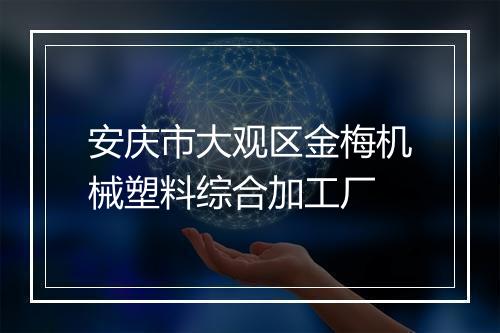 安庆市大观区金梅机械塑料综合加工厂